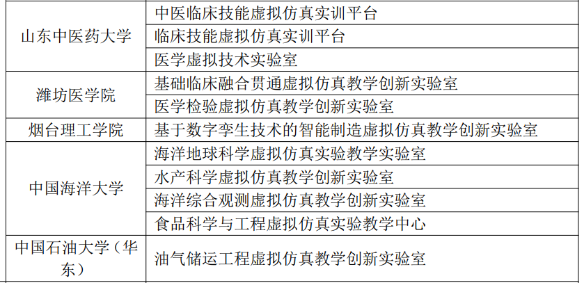 公司入选教育部“虚拟仿真教学创新实验室项目”案例团队